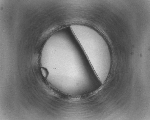 X0000084530066200702230849
