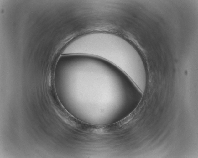 X0000084530068200702230849