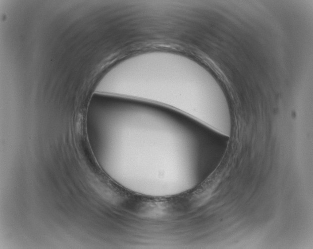 X0000084530071200702230849
