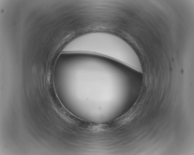 X0000084530072200702230849