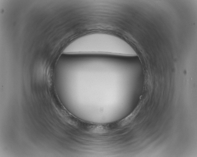 X0000084530074200702230849