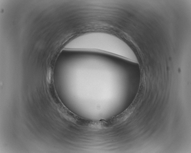 X0000084530076200702230849