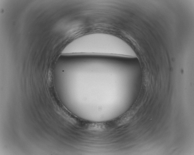 X0000084530077200702230849