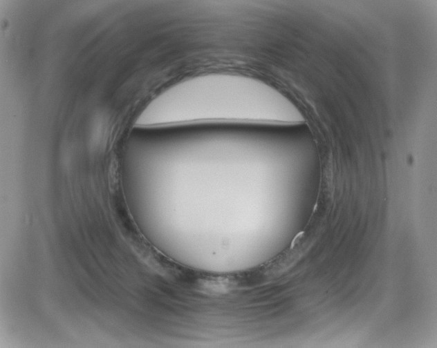 X0000084530079200702230849