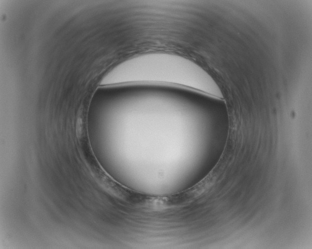 X0000084530080200702230849