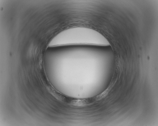 X0000084530082200702230849