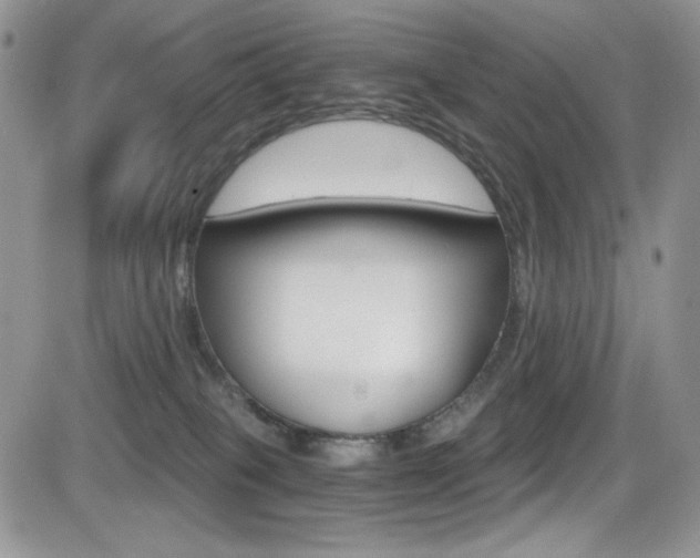 X0000084530085200702230849