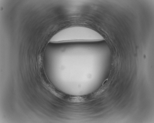 X0000084530087200702230849
