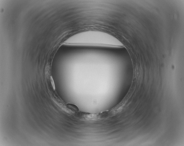 X0000084530092200702230849