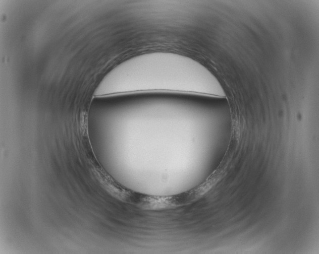 X0000084530093200702230849
