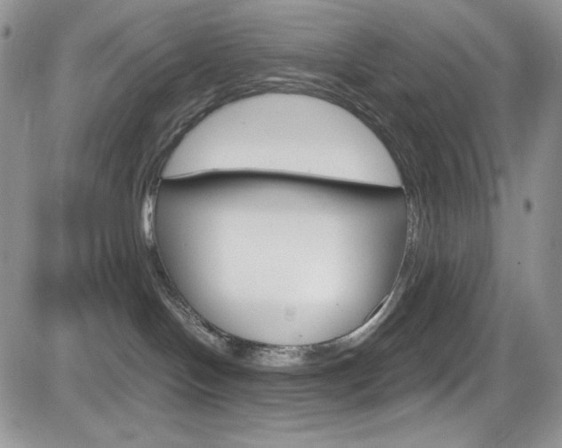 X0000084530094200702230849