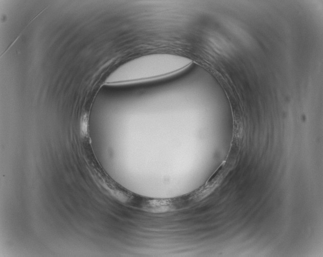 X0000084530095200702230849