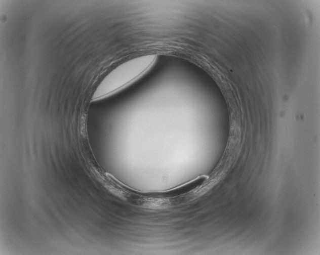 X0000084530096200702230849