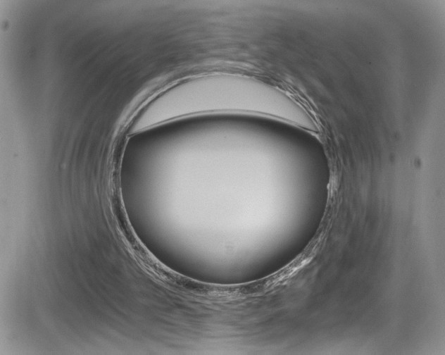 X0000084530101200702230848