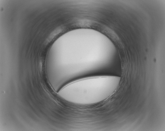 X0000084530120200702230848