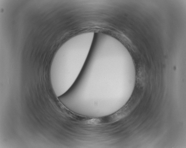 X0000084530122200702230848