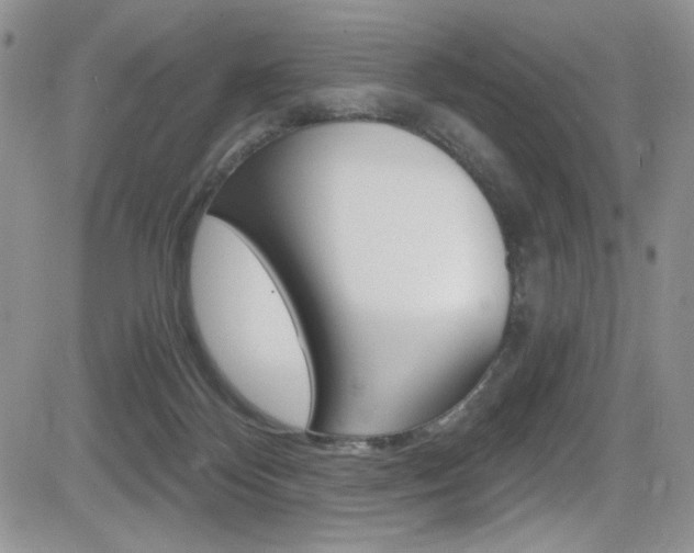 X0000084530124200702230848