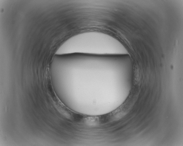 X0000084530126200702230848