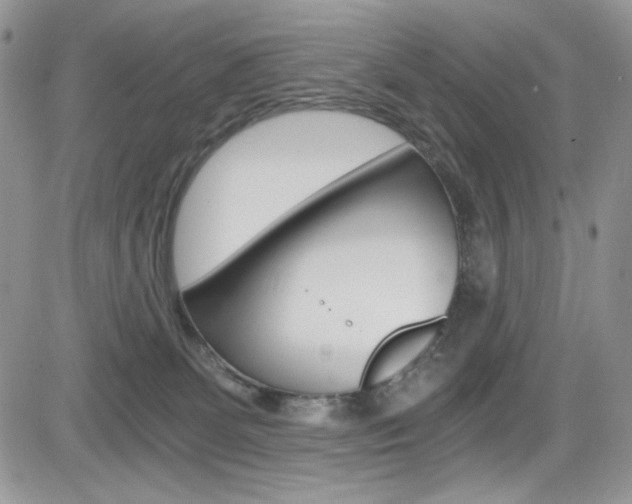 X0000084530131200702230848