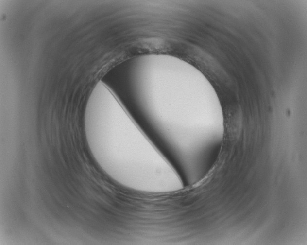 X0000084530132200702230848