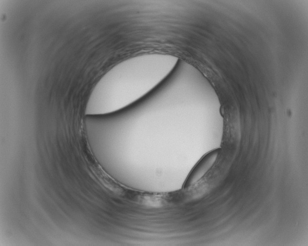 X0000084530134200702230848