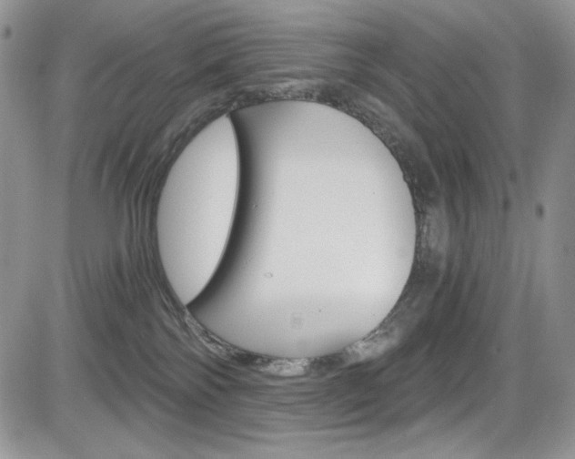 X0000084530138200702230848