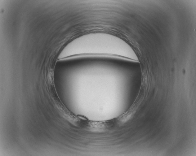 X0000084530141200702230848