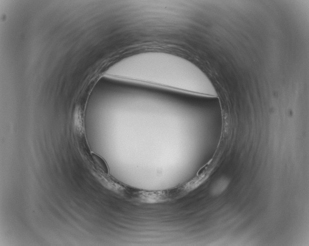X0000084530143200702230848