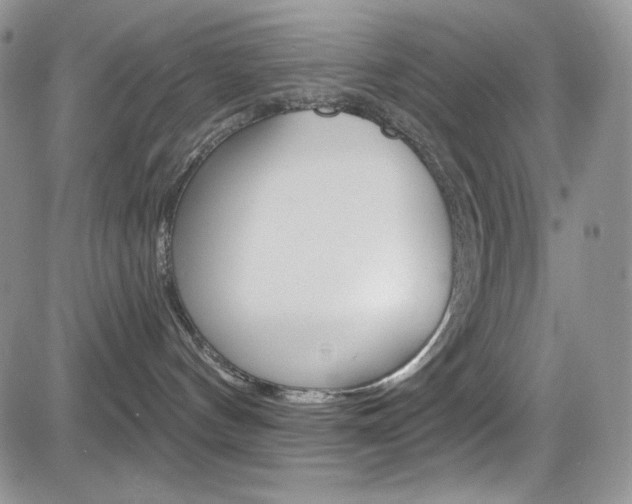 X0000084530144200702230848