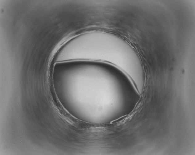 X0000084530150200702230847