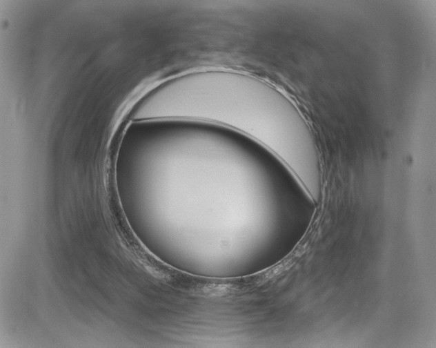 X0000084530152200702230847