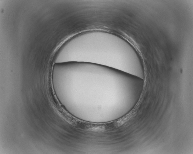 X0000084530155200702230847