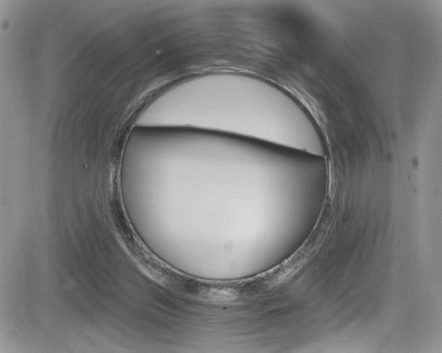 X0000084530157200702230847