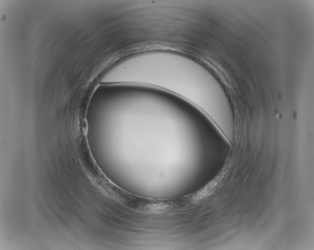 X0000084530158200702230847
