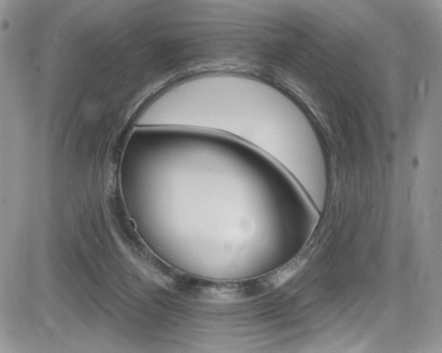 X0000084530164200702230847