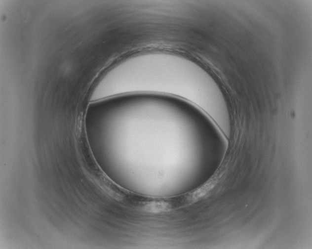X0000084530168200702230847
