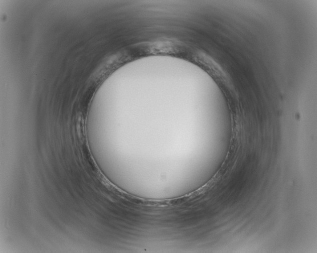 X0000084530169200702230847
