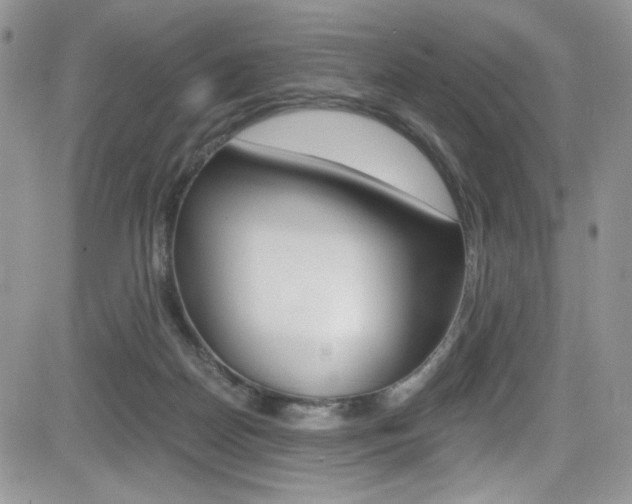 X0000084530170200702230847