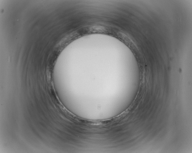 X0000084530173200702230847