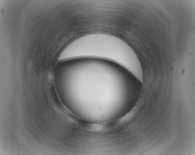 X0000084530176200702230847