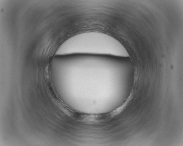 X0000084530182200702230848