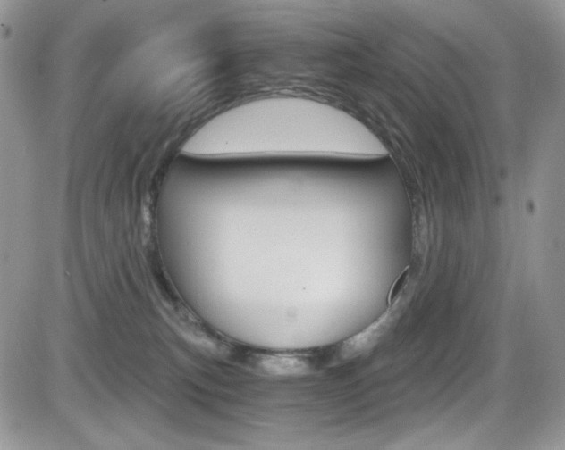 X0000084530183200702230848