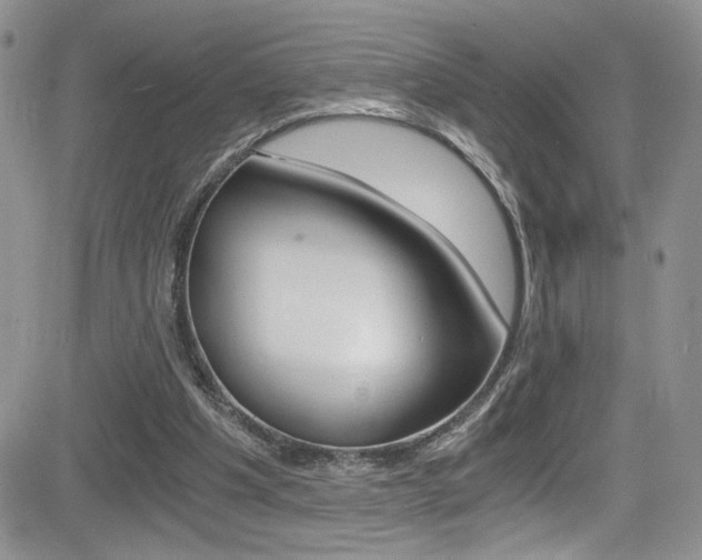 X0000084530201200702230847
