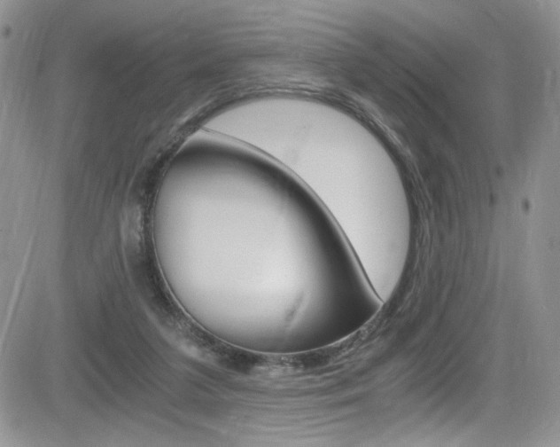 X0000084530211200702230847