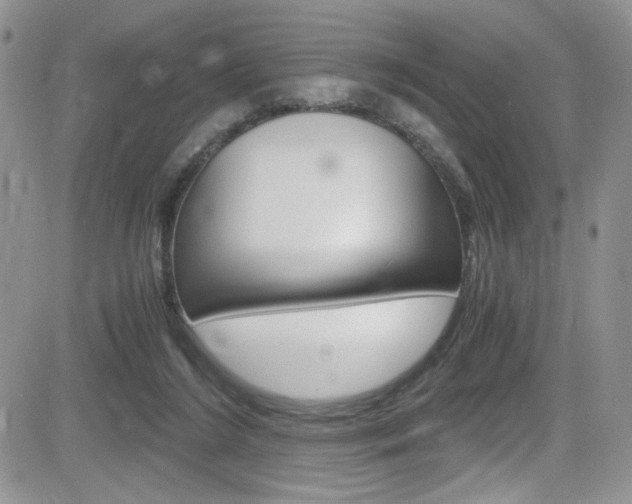 X0000084530212200702230847