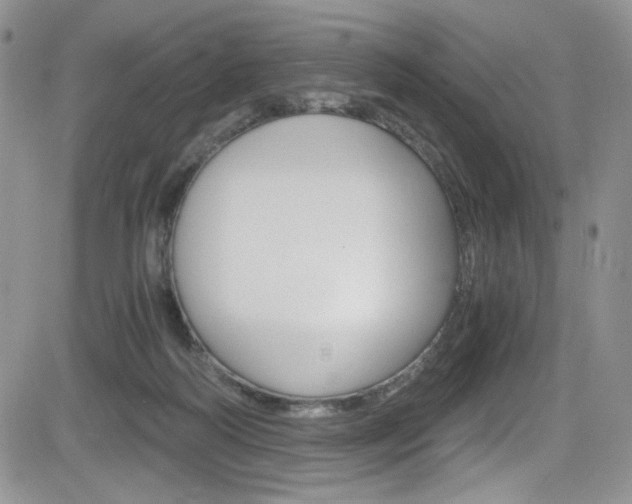 X0000084530218200702230846