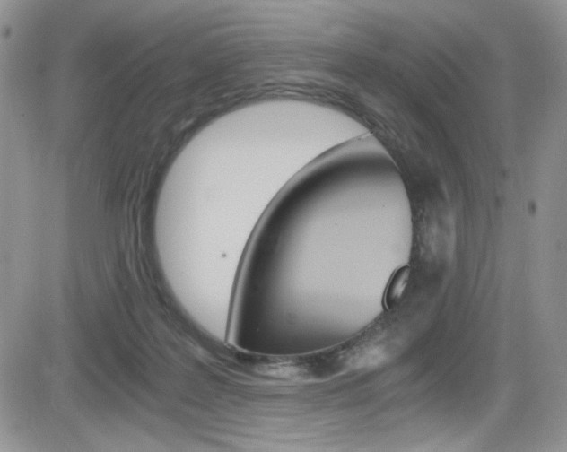 X0000084530219200702230846