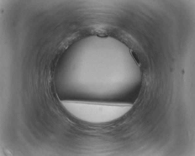 X0000084530223200702230846