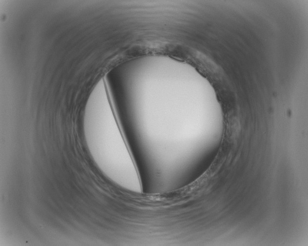X0000084530225200702230846