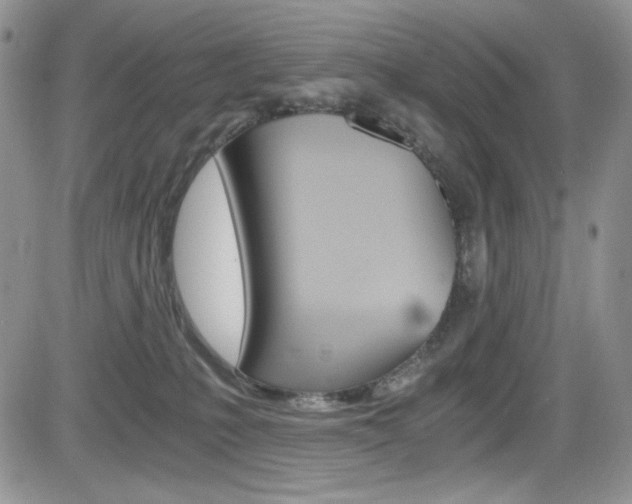 X0000084530231200702230846